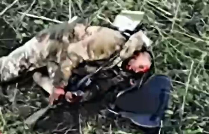 33 suicides of Russian soldiers in August 2025. Compilation.