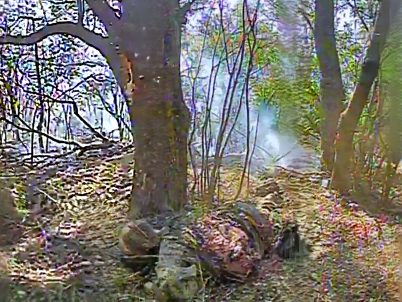 Drone Carves Out Fleshy Wound on Russian's Rib Cage