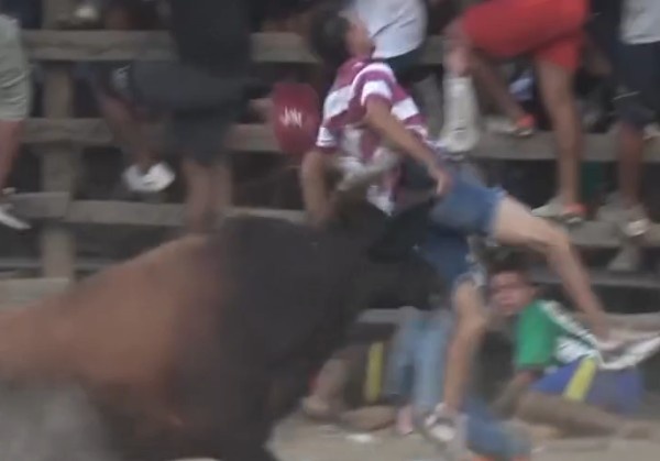 Idiot receives a brutal blow from a bull