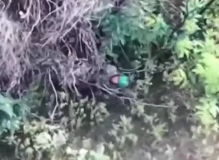 Ukrainian suffers double blow.