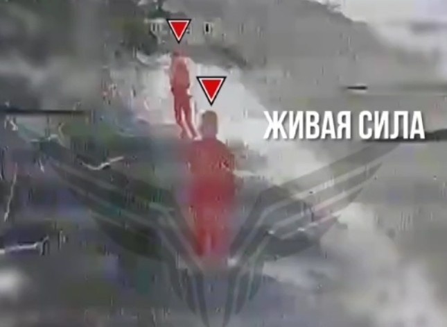 Rubicon compilation 29. 