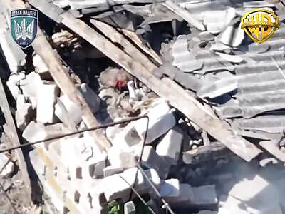 Short life in Ukraine