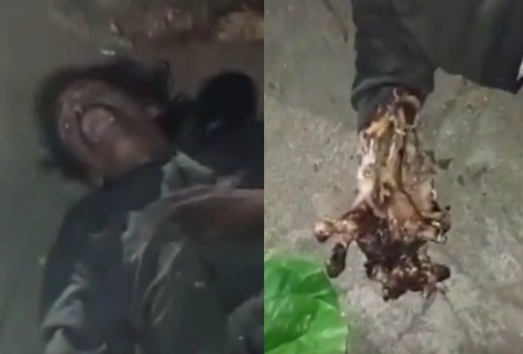 Cable Thief Regrets It All