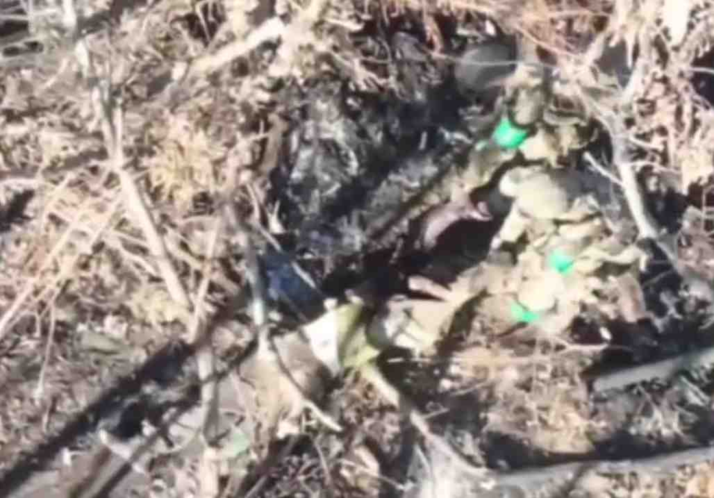 Ukrat rescue ends in death for all. 