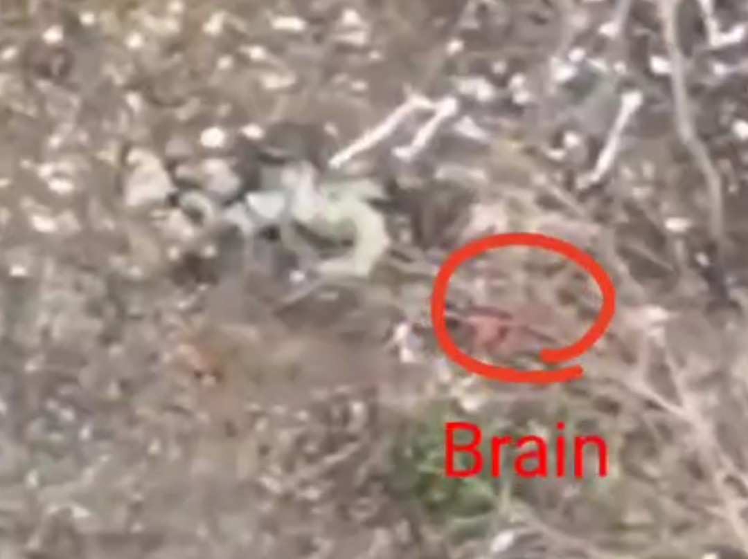 Drone headshot on Ukranny, Brainz out.