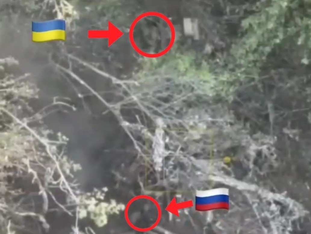 1 Russian vs 1 Ukranny. Who wins? 