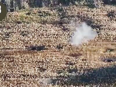 Dead Russians comp (October 5, 2025)