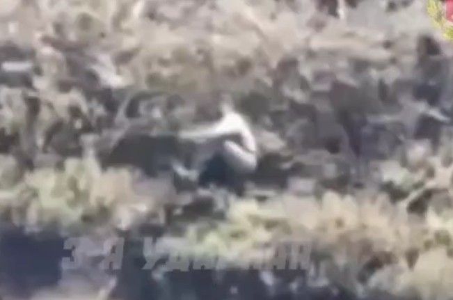 Naked Ukranny is denazified. 