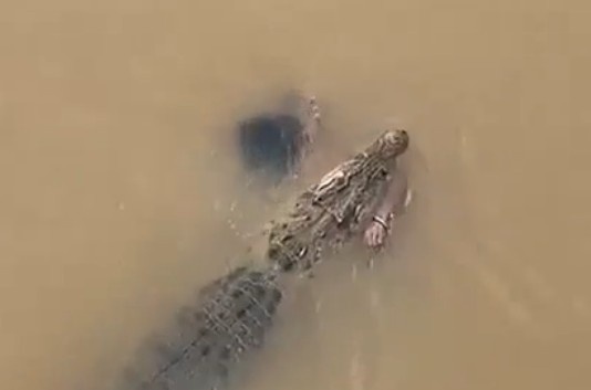 Woman Dragged Into River, Killed By Crocodile In India