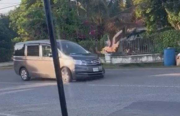 Zero Survival Instincts