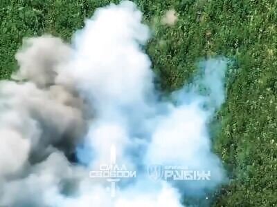 Slaughtering Russian meat.