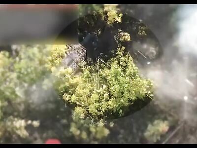 Dead Russians comp IV (October 9, 2025)