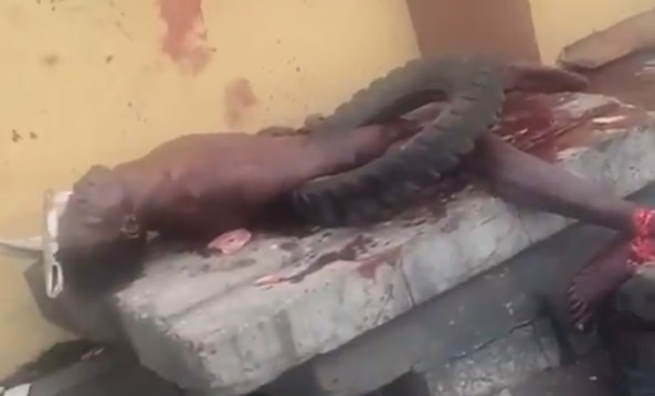 Two Thieves Were Stripped Naked And Killed By Mob In Nigeria