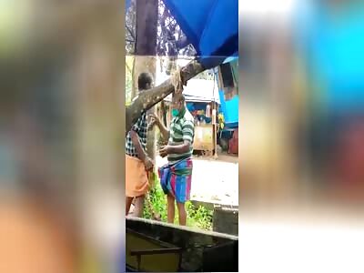 the man is brutally scared away with a tree branch