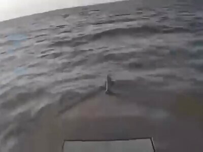 Dead Russians comp II (October 20, 2025)