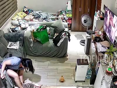 The cat tried to kill the owner