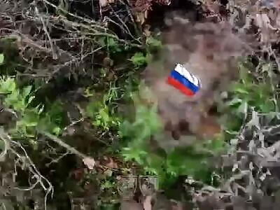 GoPro: Good prey for Ukrainian SOF (13 Russhits).