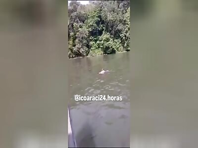 BODY FLOATING IN THE RIVER, GUTS EXPOSED