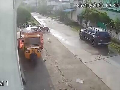 Girl Nearly Killed By Pack Of Stray Dogs In India