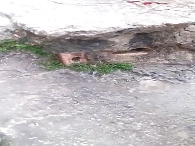 Brazilian punishment