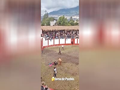 Never mess with beasts from Ecuador.