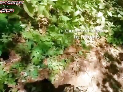 Broken and Battered UAF Troops on the Frontlines