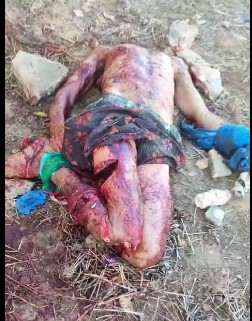 Brazilian rapist has a happy ending