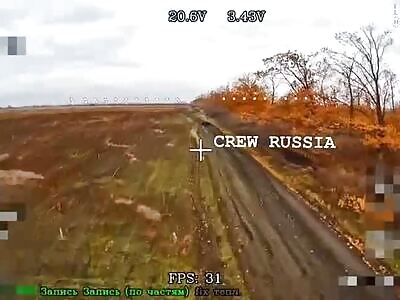 Robo-pig doctor sent for scrap along with patient