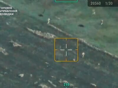 Ukrainian landing in Pokrovsk.