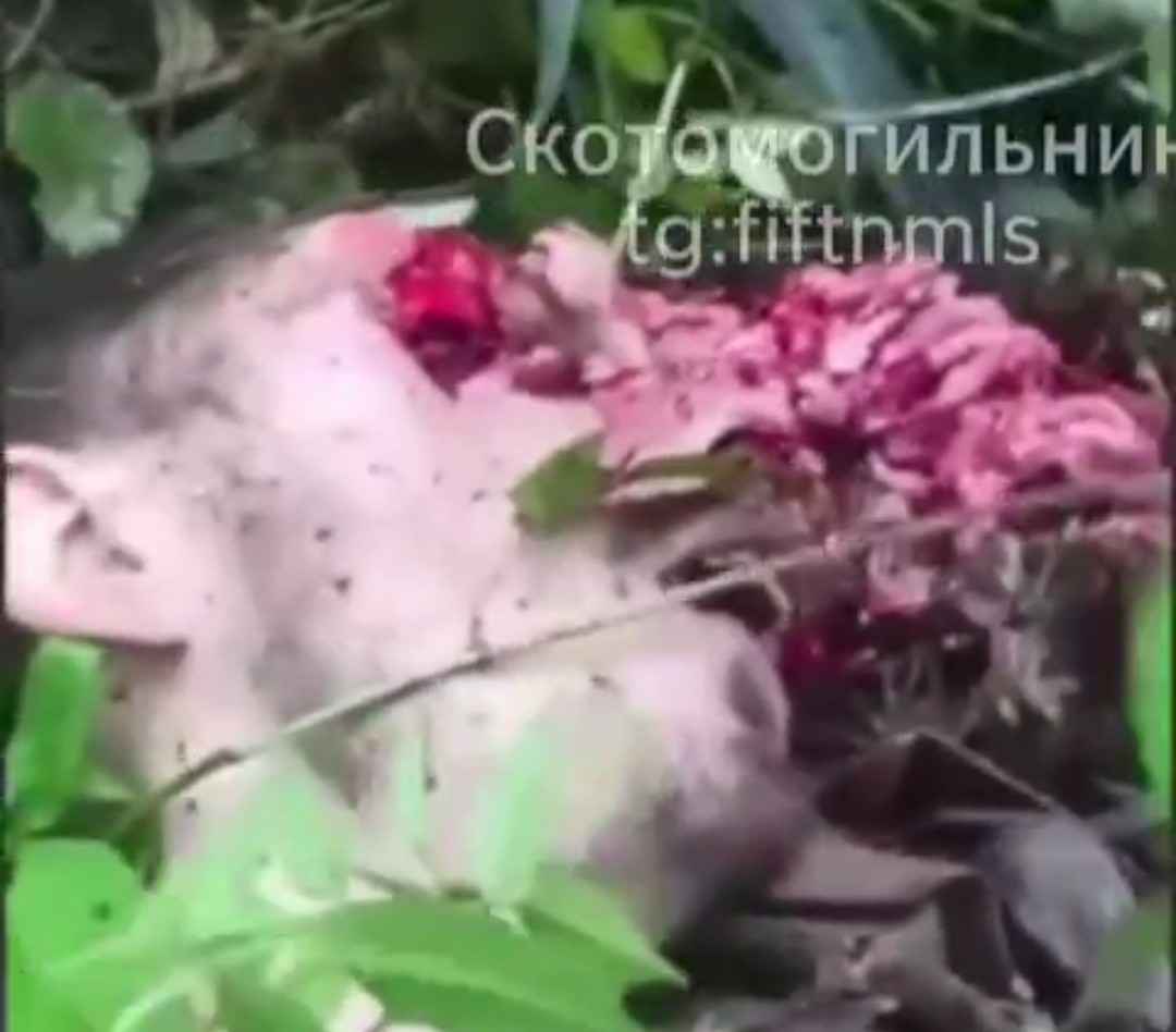 Gay Ukrainian couple were found dead 