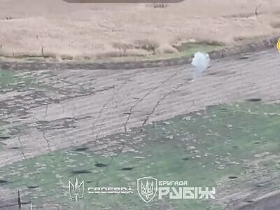 Dead Russians comp (November 6, 2025). Pokrovsk edition.