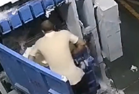 Cotton fields forever