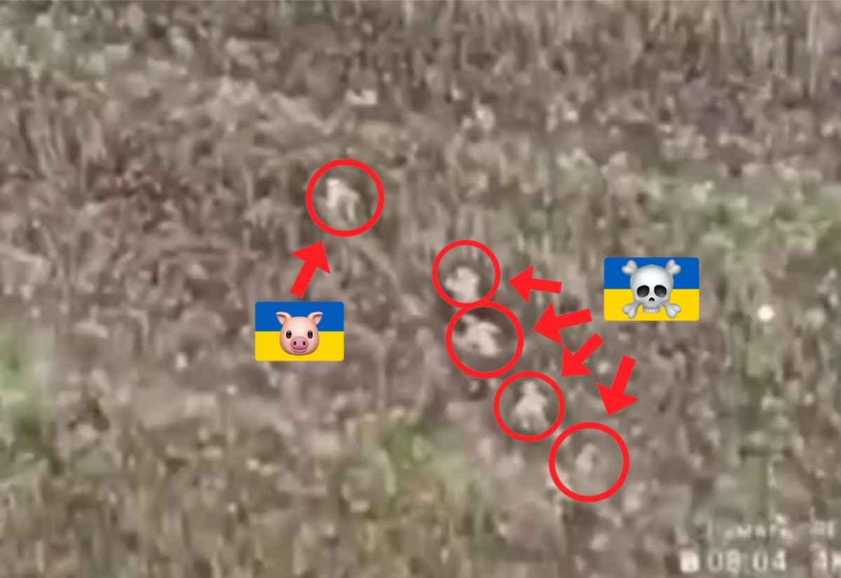 Assault group is ambushed. 