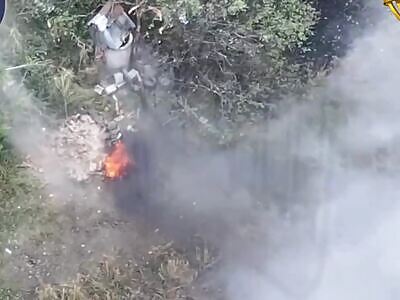 Dead Russians comp (November 10, 2025). Pokrovsk.