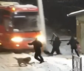 Bus Crushed Into Pedestrians