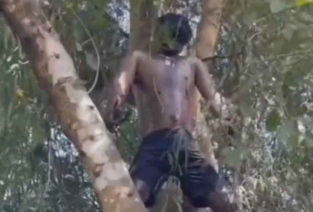 He Became One with the Forest 