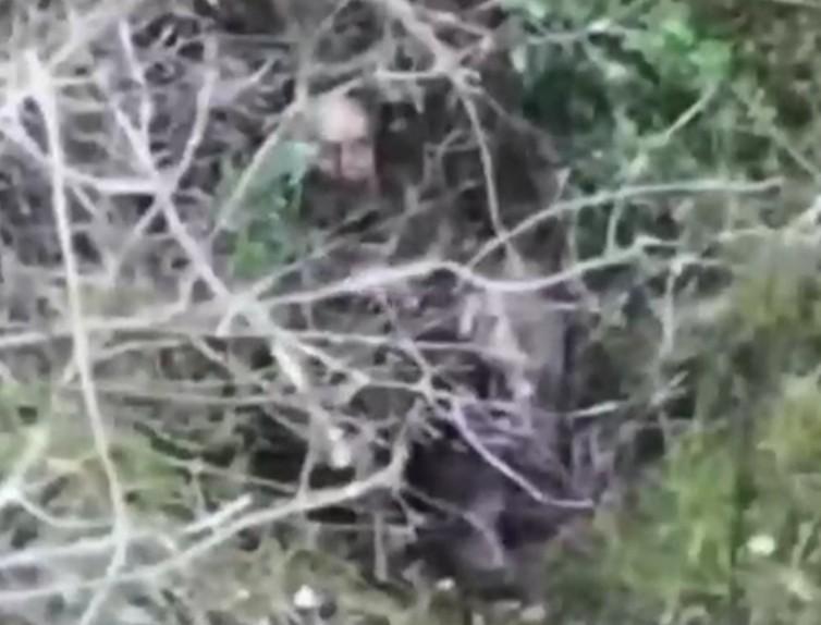 Ukrainian commits suicide. 