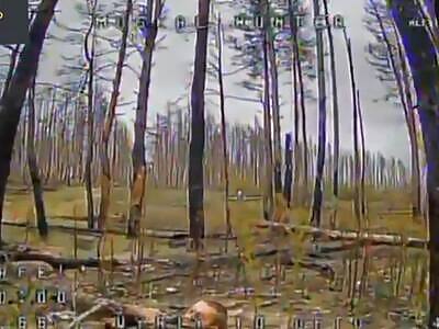 Dead Russians comp II (November 11, 2025)