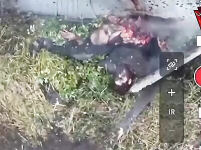 Dead Russians comp (November 13, 2025)