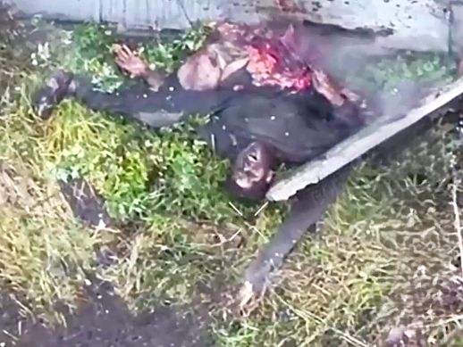 Russian Dude Still Alive. Then Second Blow Strikes...