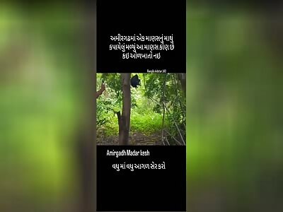 HEAD ON ONE SIDE, BODY ON THE OTHER