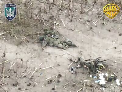 WORMBUSTERS kill Russians