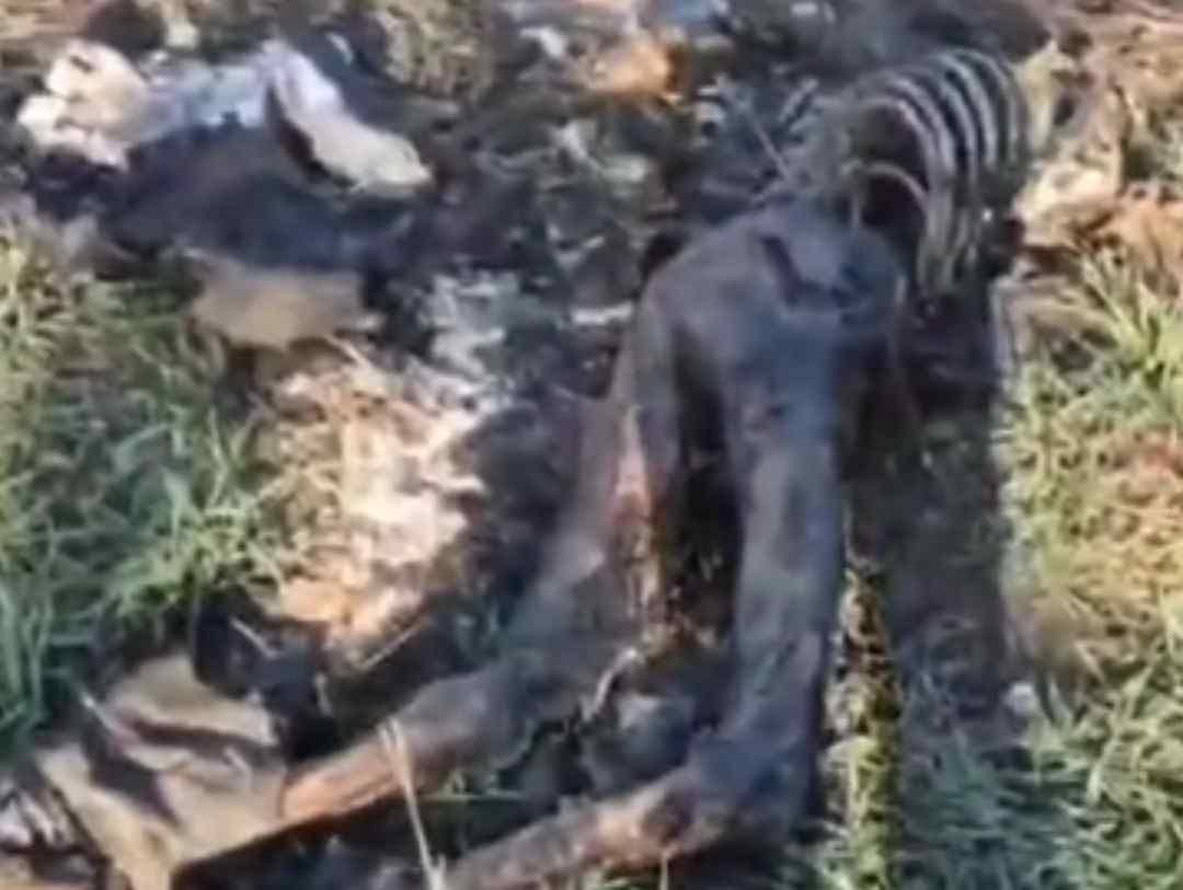 Rotten baba yaga drone operators.