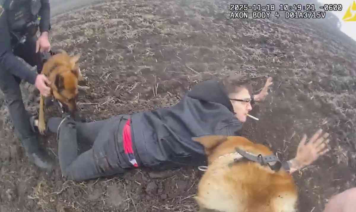 Suspect Attacked By Police Dogs In Wisconsin