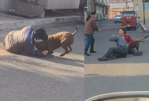 Old Man Attacked By Angry Pitbull