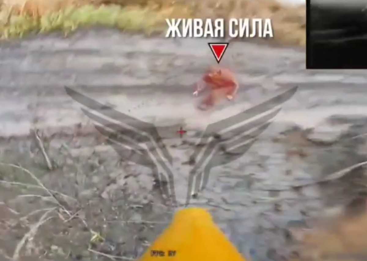 Minus 20 Ukrainians.