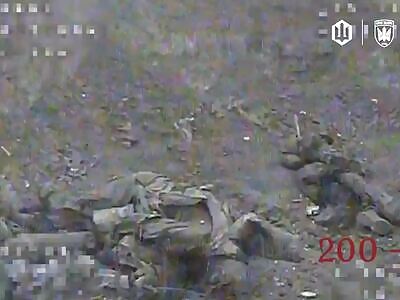 Madyar compilation: -28 Russhits