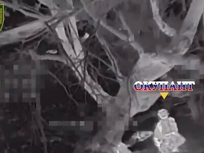 Dead Russians comp (November 30, 2025)