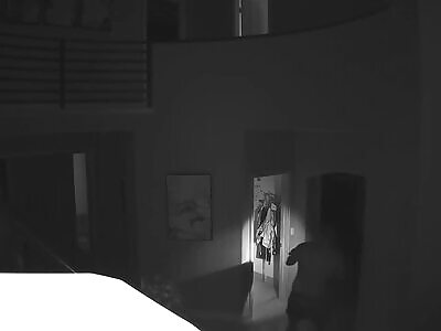 Bear Breaks Into Home And Is Shot