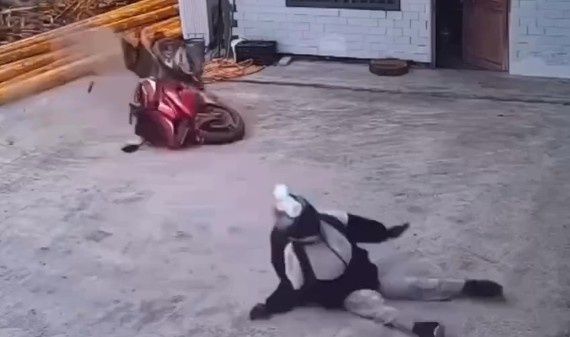 JAPANESE FLYING BACK HOME